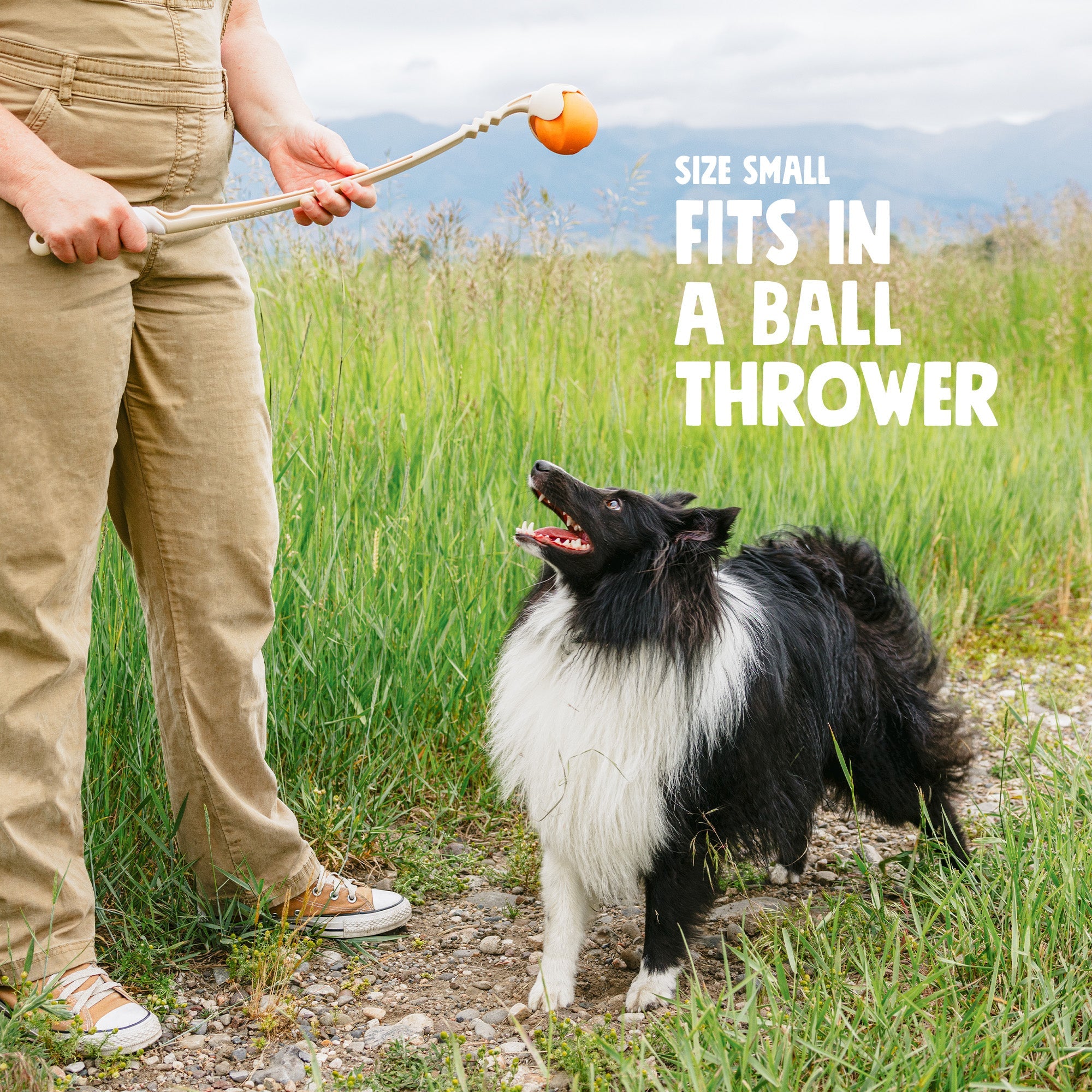 Jive Dog Chew Toy
