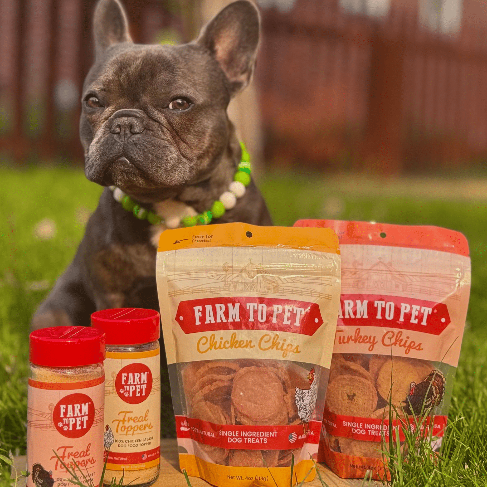 Chicken & Turkey Food Topper Bundle