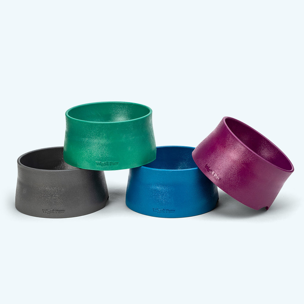 Non-Slip Dog Bowl