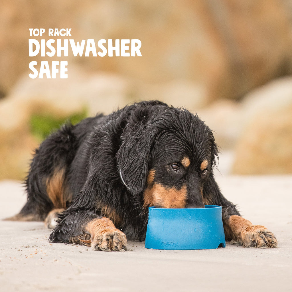 Non-Slip Dog Bowl