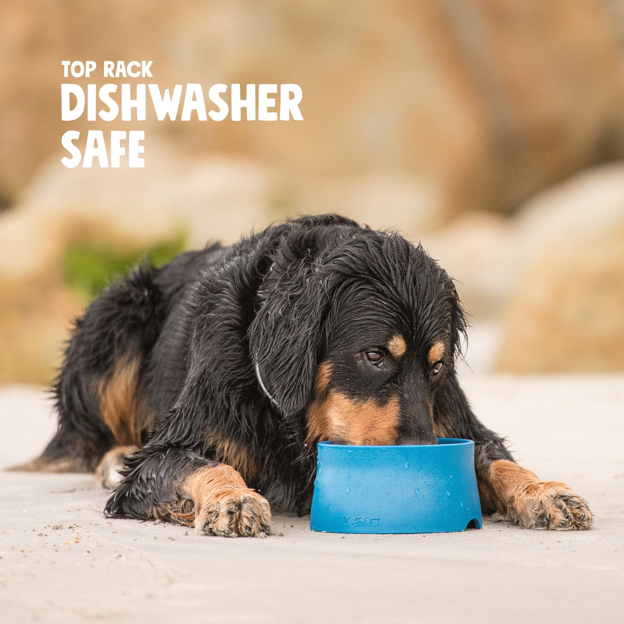 Non-Slip Dog Bowl