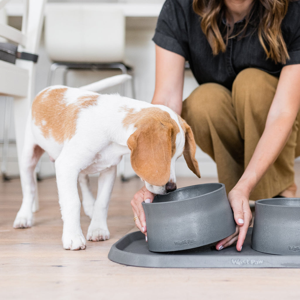 Non-Slip Dog Bowl