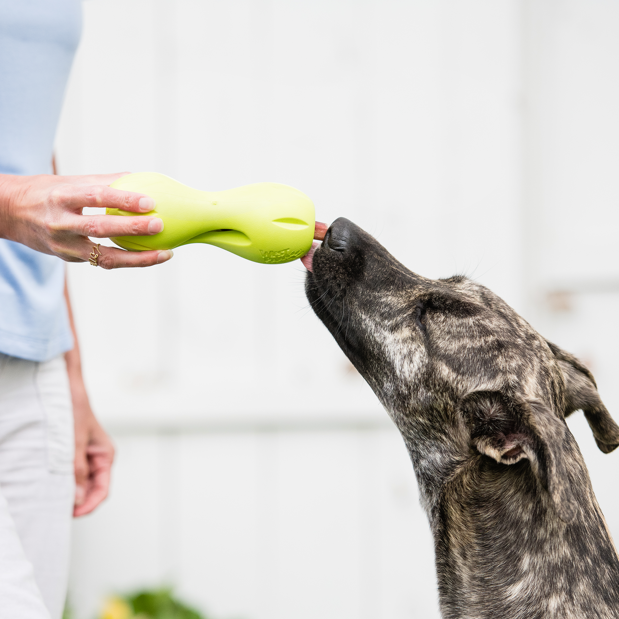 Qwizl Treat Dispensing Dog Toy