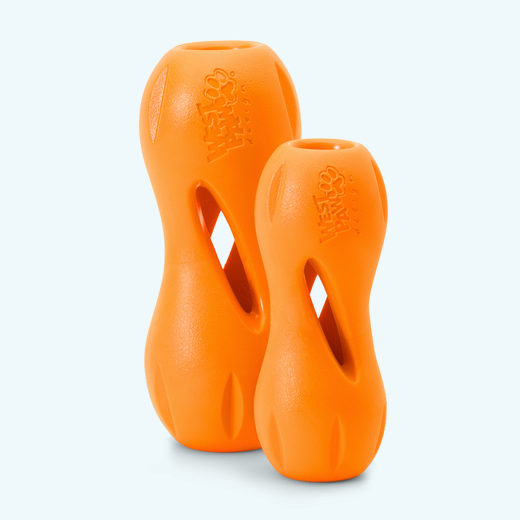 Qwizl Treat Dispensing Dog Toy