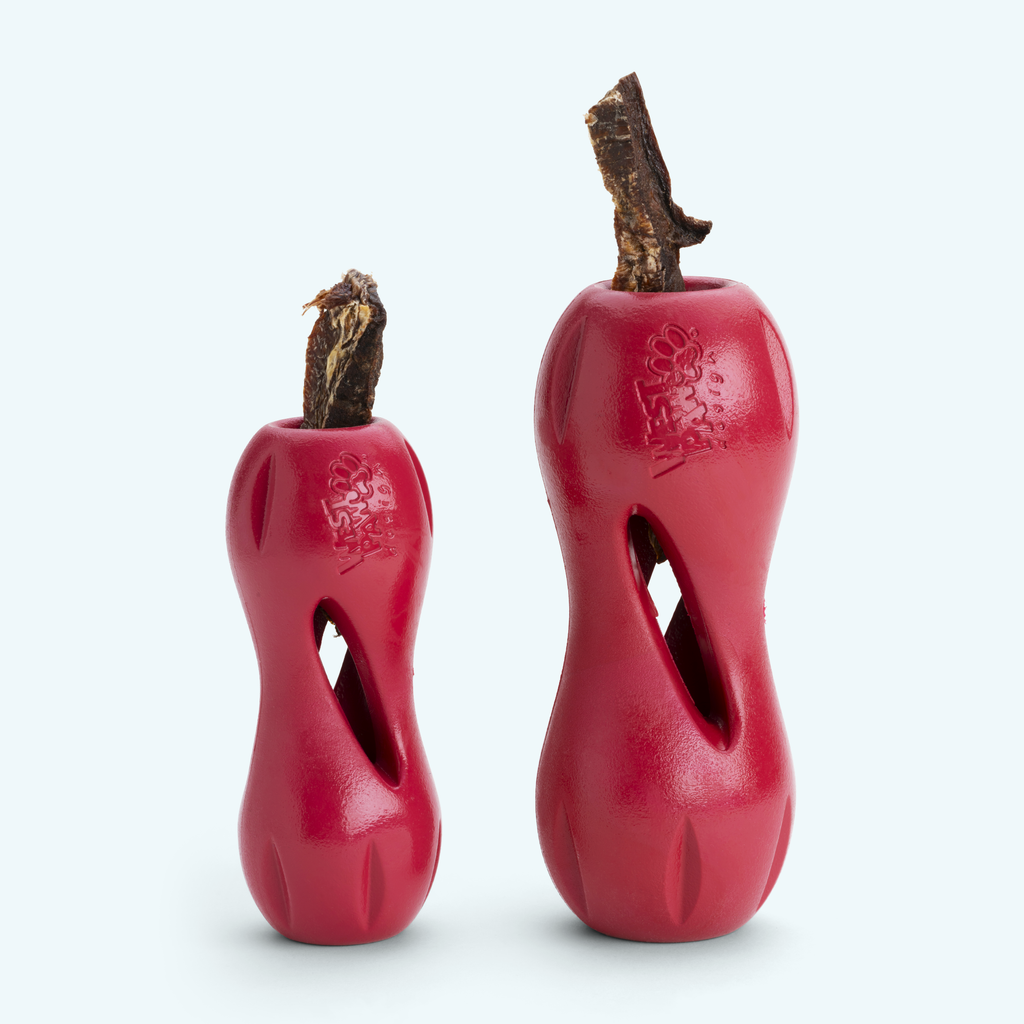 Qwizl Treat Dispensing Dog Toy