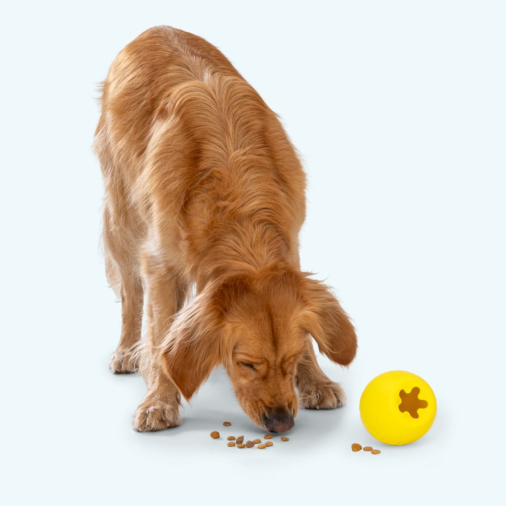 Rumbl Treat Dispensing Dog Toy