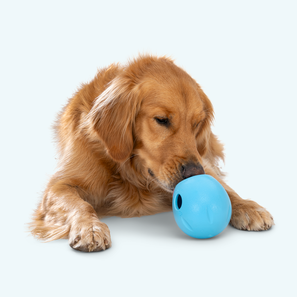 Rumbl Treat Dispensing Dog Toy
