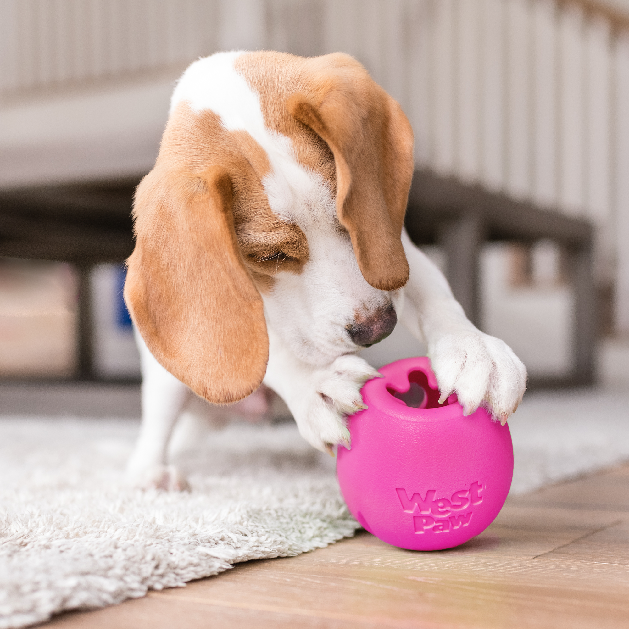 Rumbl Treat Dispensing Dog Toy