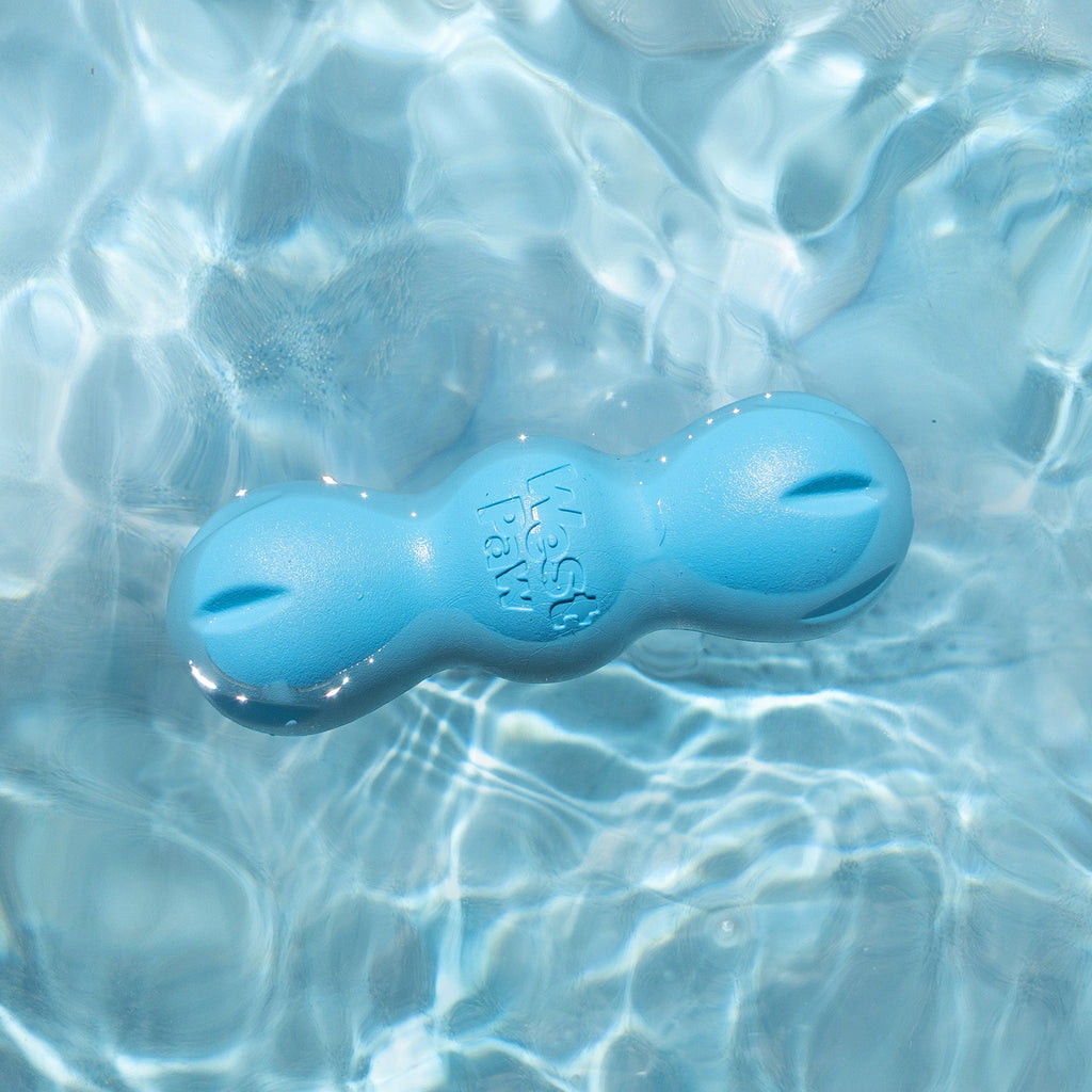 Rumpus Fetch Dog Toy