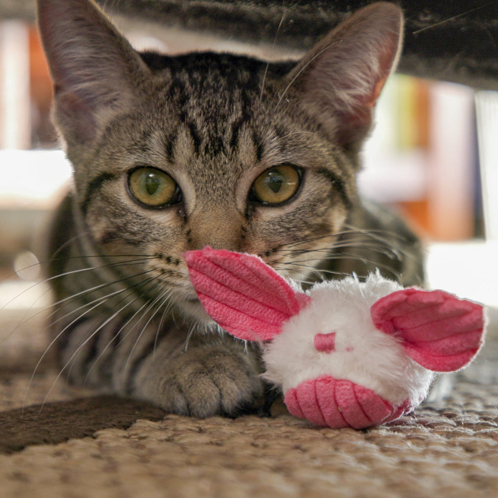 HuggleKats® Dust Bunnies Cat Toys, 3 Pack