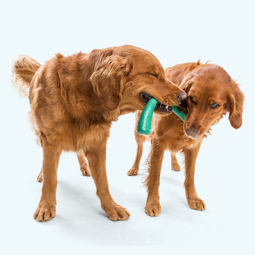 Snorkl Dog Chew Toy
