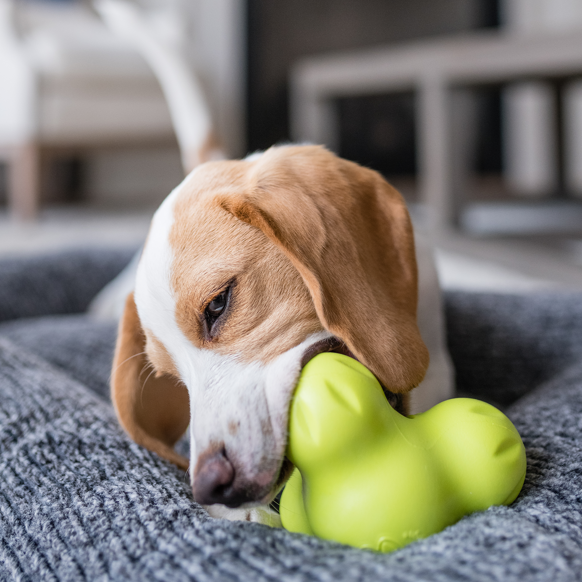 Tux Dog Chew Toy
