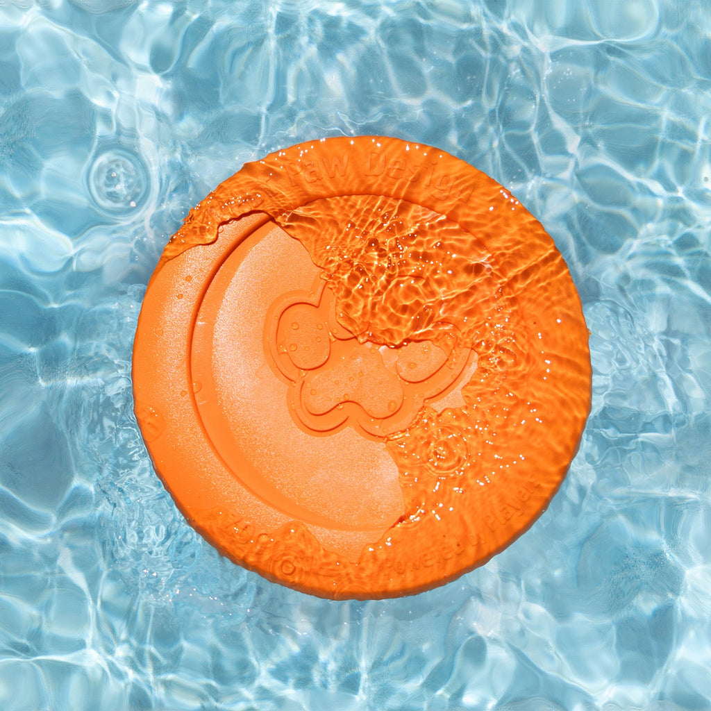 Zisc Flying Disc Dog Toy