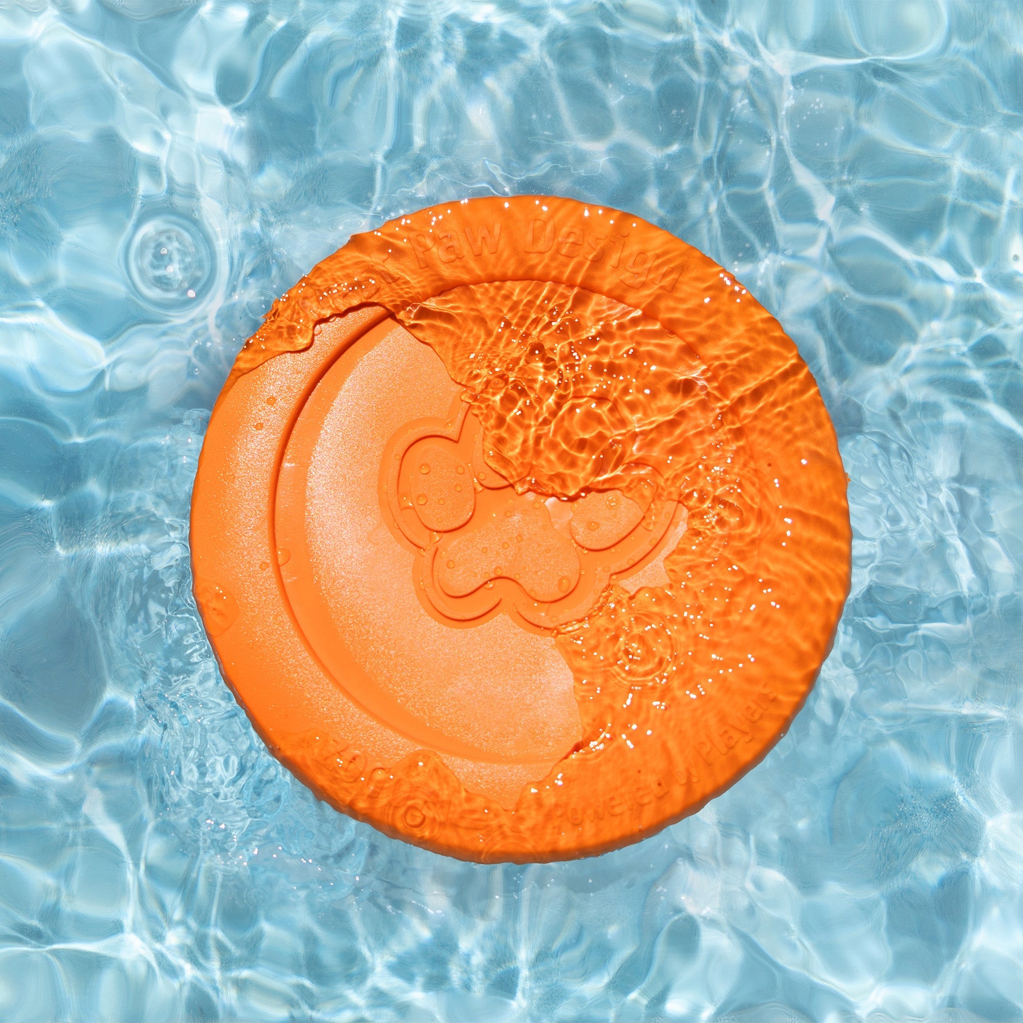 Zisc Flying Disc Dog Toy