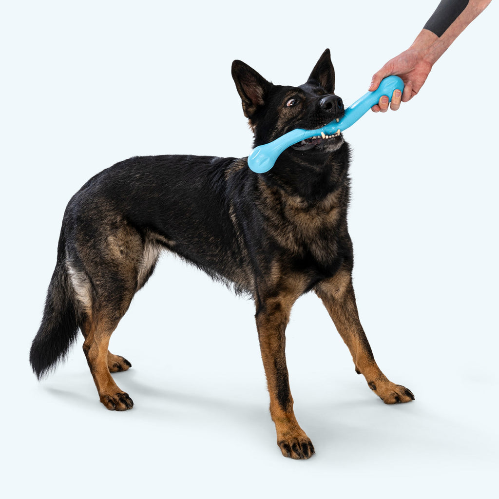 Zwig Stick Dog Chew Toy