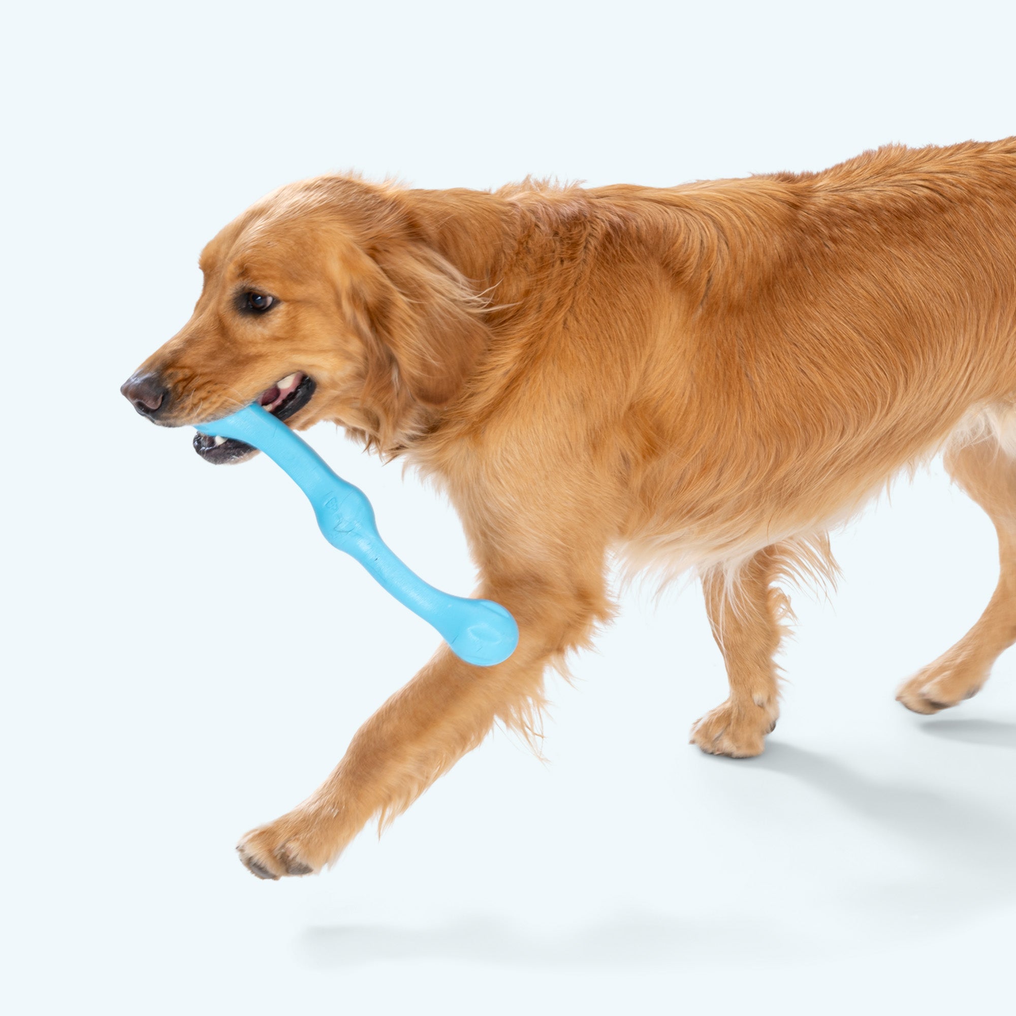 Zwig Stick Dog Chew Toy