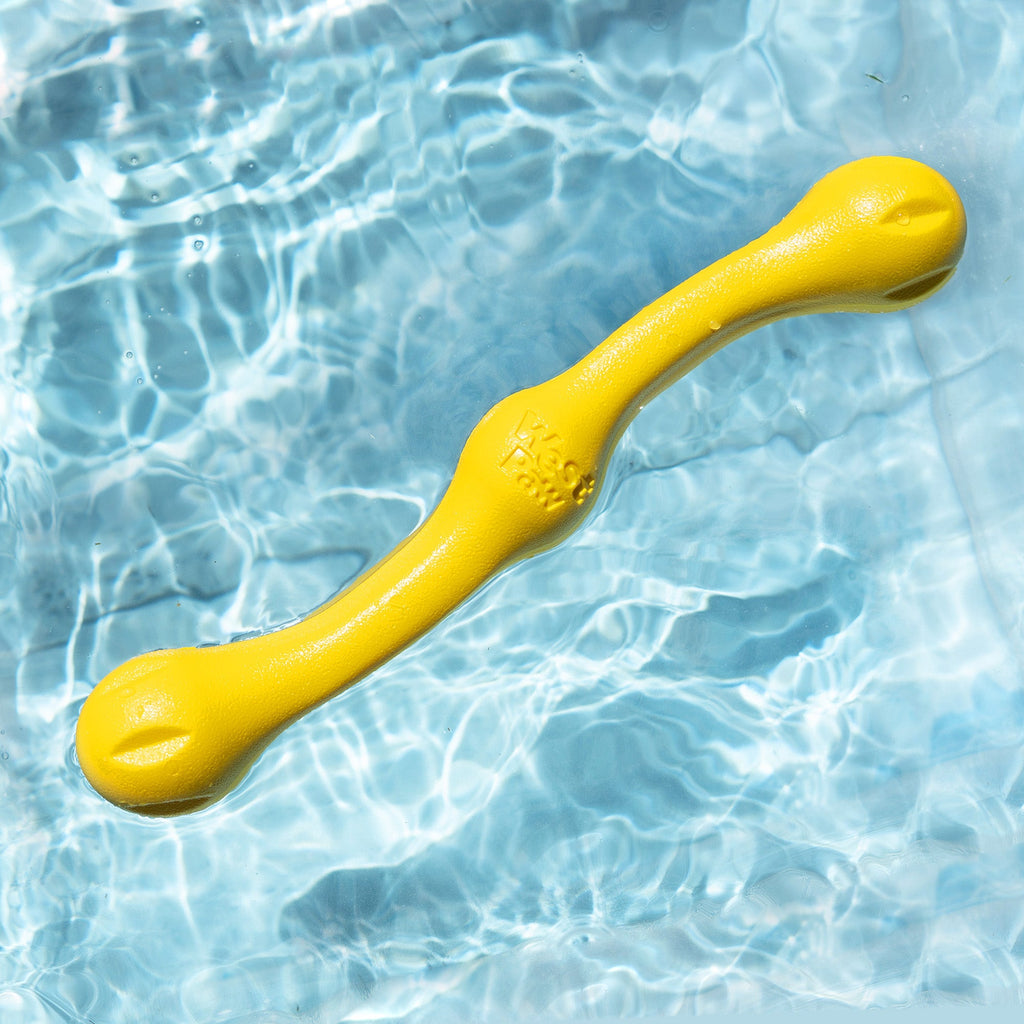 Zwig Stick Dog Chew Toy
