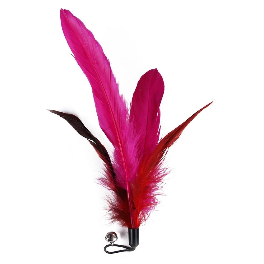 Retractable Feather Wand & Teaser Refill Set