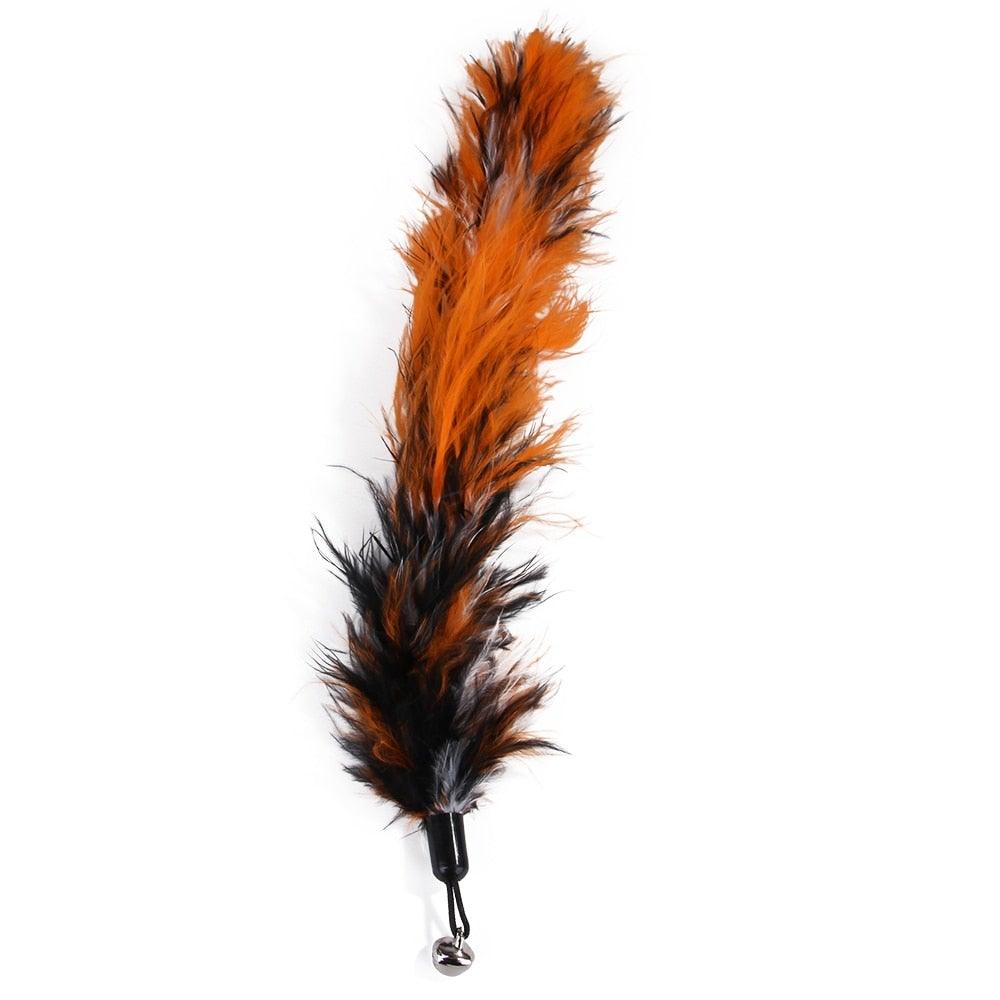 Retractable Feather Wand & Teaser Refill Set