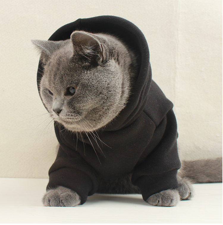 Customizable Dog and Cat Clothing for Pets