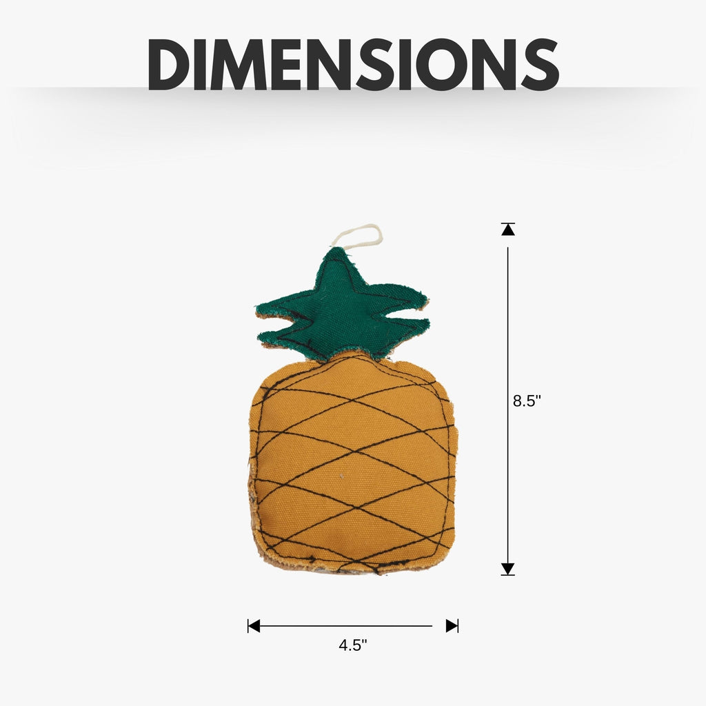 Country Living Canvas & Jute Pineapple Dog Chew Toy
