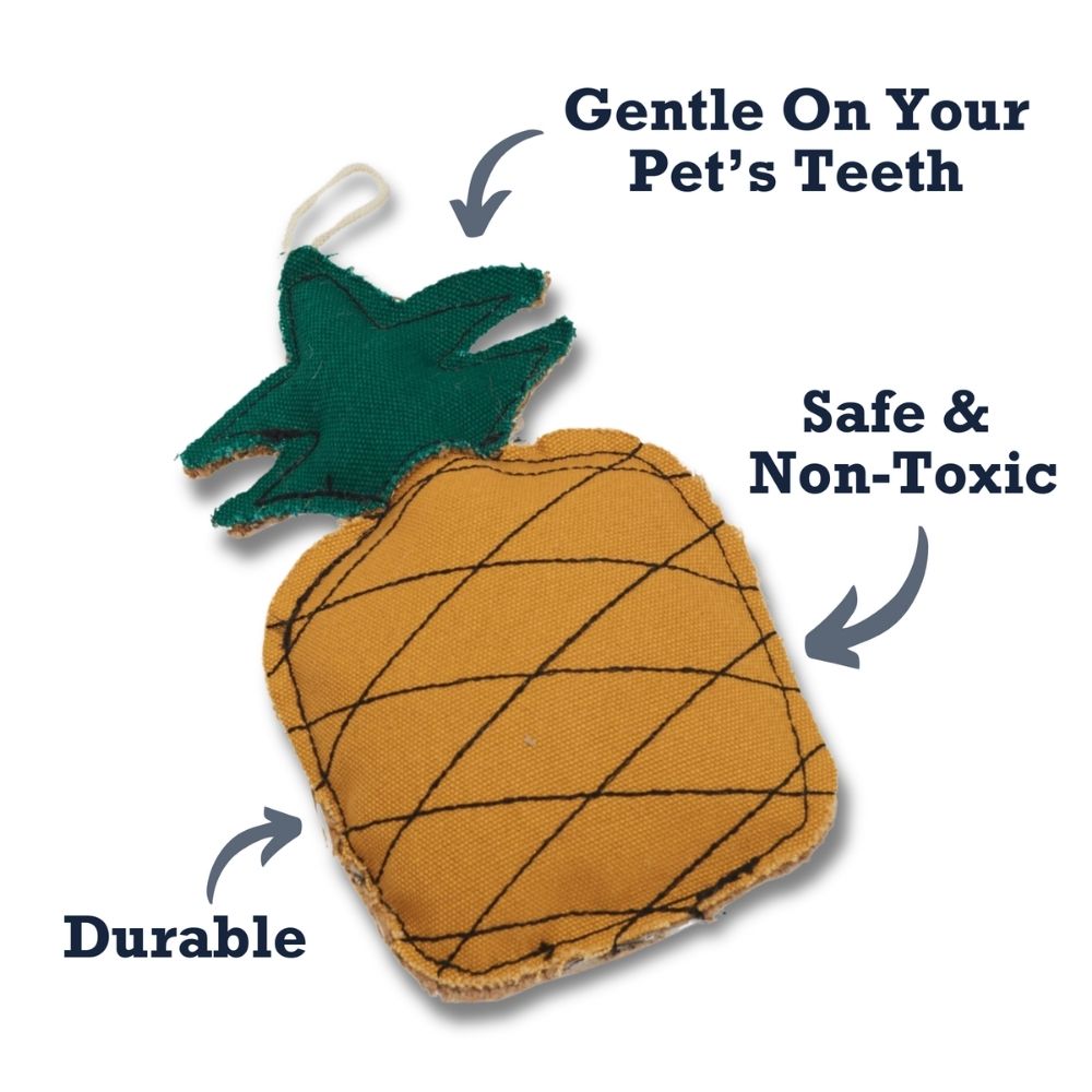 Country Living Canvas & Jute Pineapple Dog Chew Toy