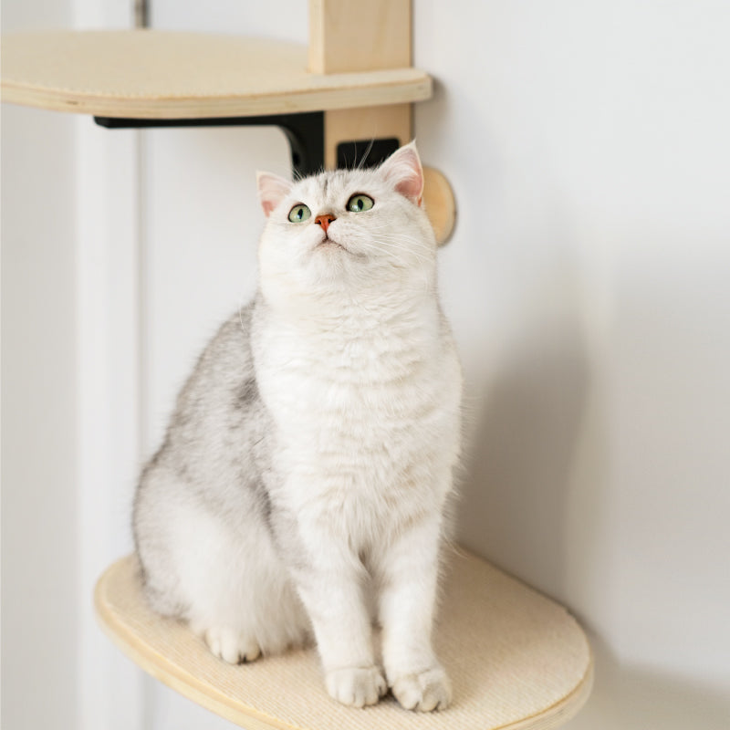 Wall-Mounted Cat Scratch Board & Climbing Frame