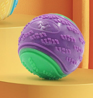 Molar Training Ball Dog Toy