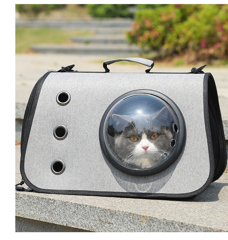 Foldable Cat Travel Backpack with Breathable Mesh Design