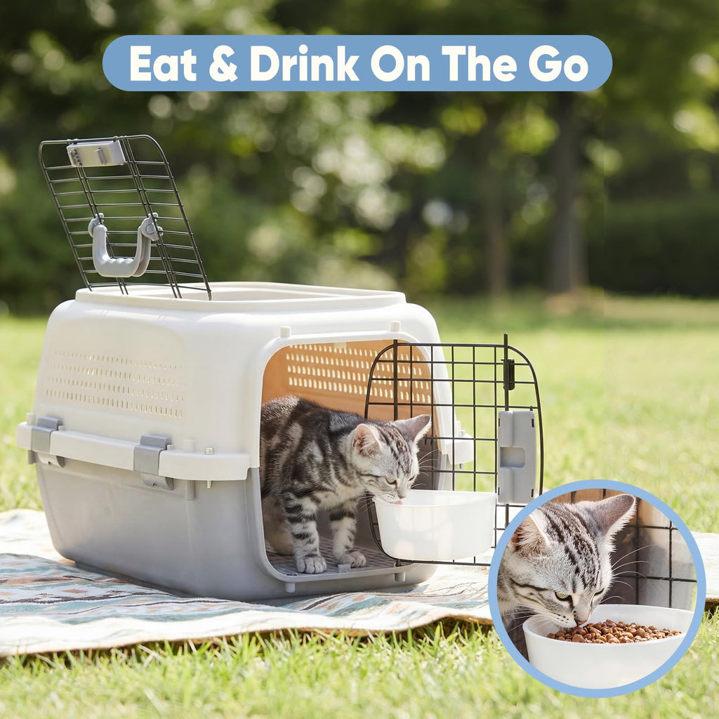 Airline-Approved Pet Travel Carrier