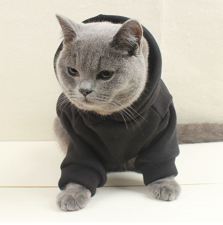 Customizable Dog and Cat Clothing for Pets