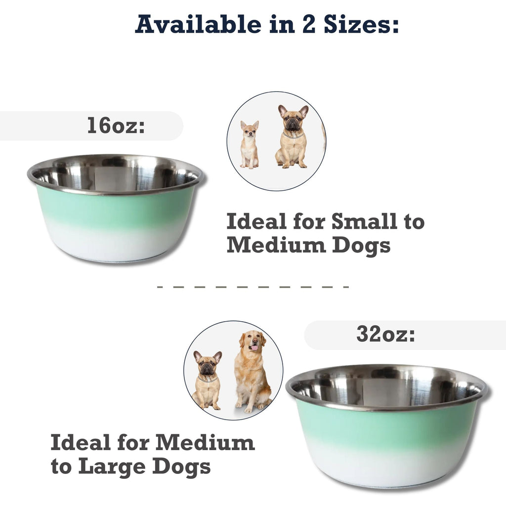 Deep Stainless Steel Dog Bowl – Mint Green