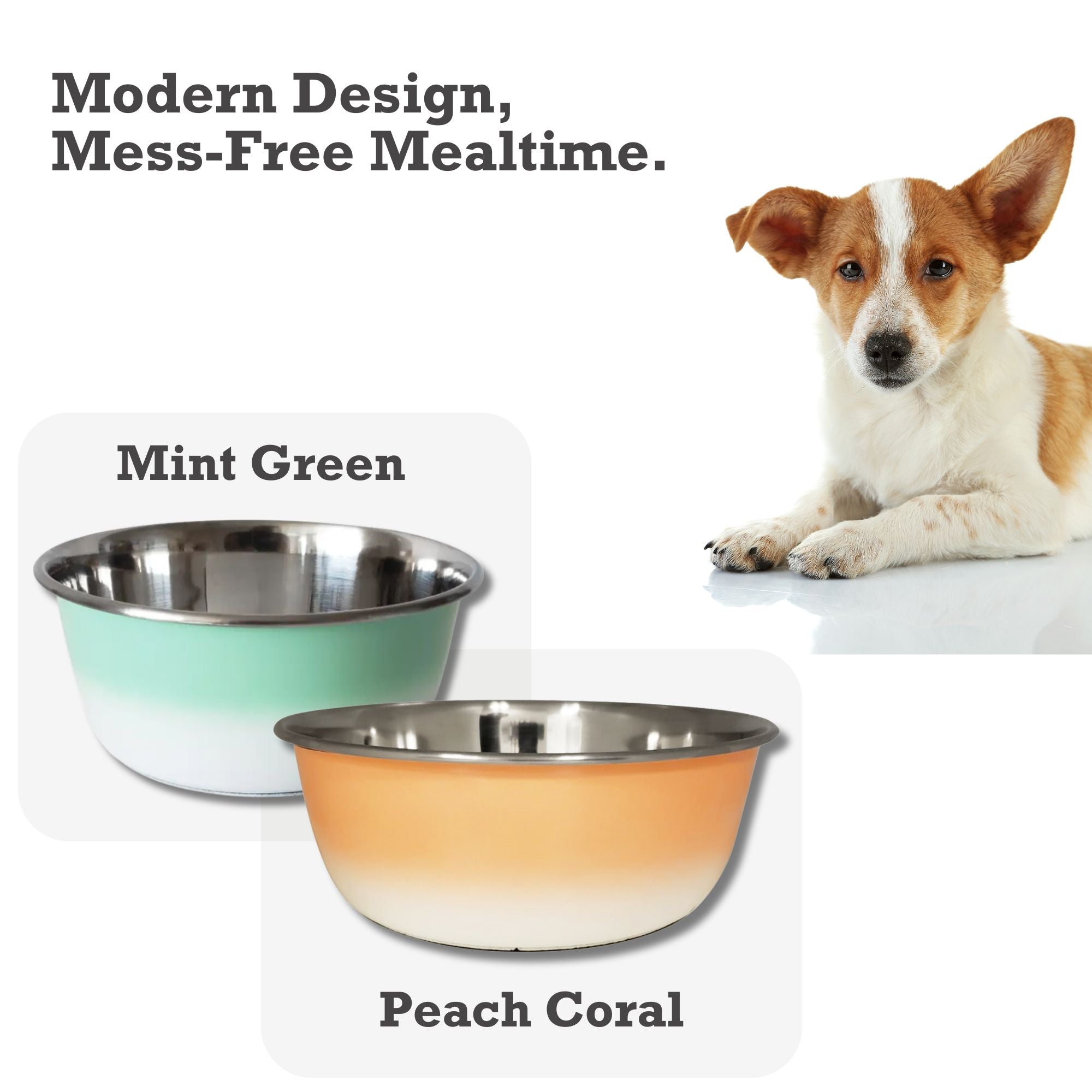 Deep Stainless Steel Dog Bowl – Mint Green