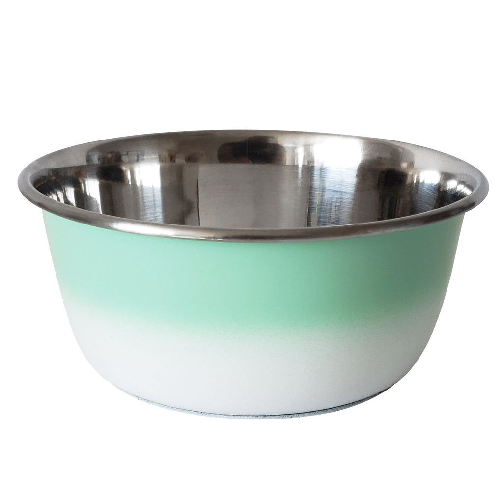 Deep Stainless Steel Dog Bowl – Mint Green