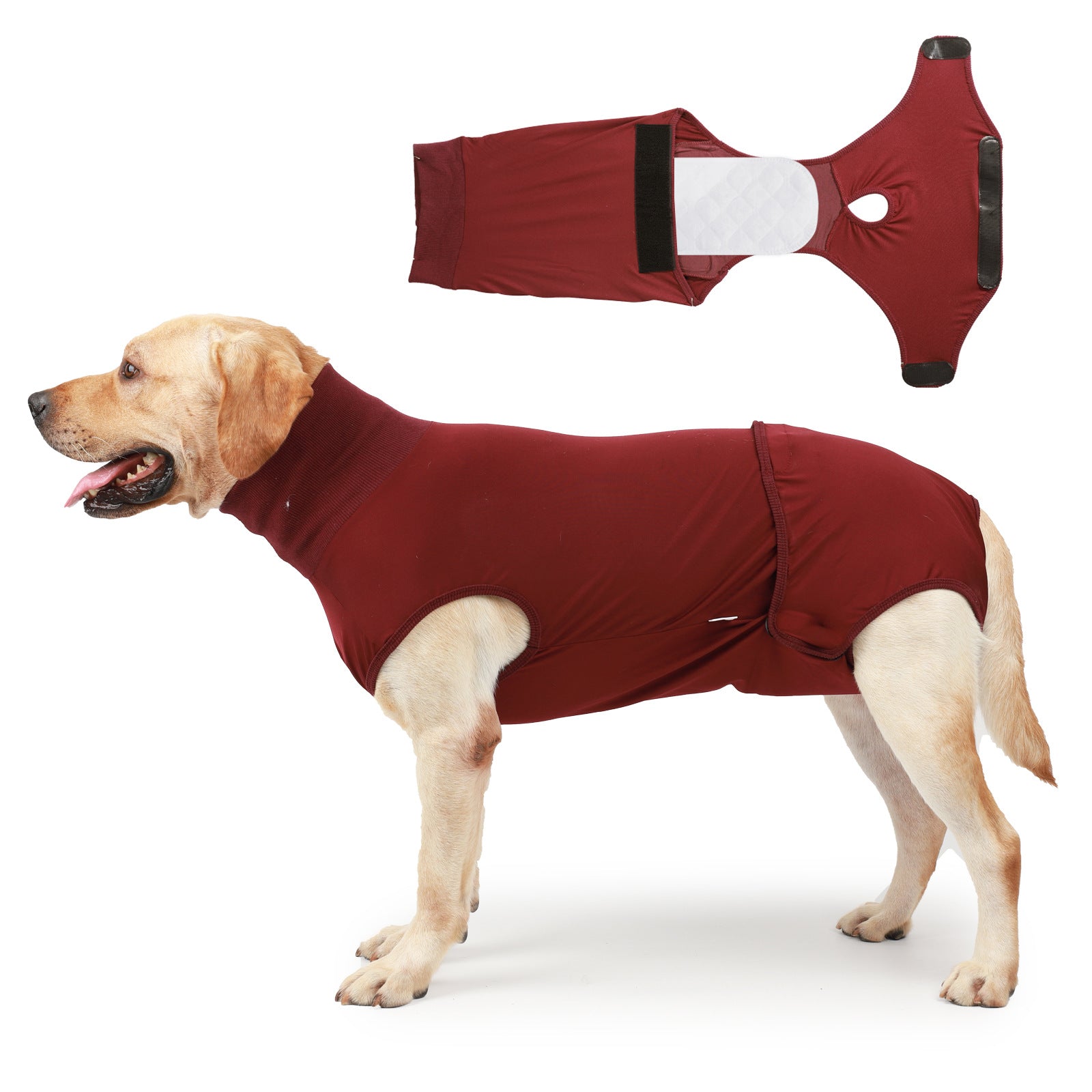 Dog Clothing for Post-Sterilization Comfort