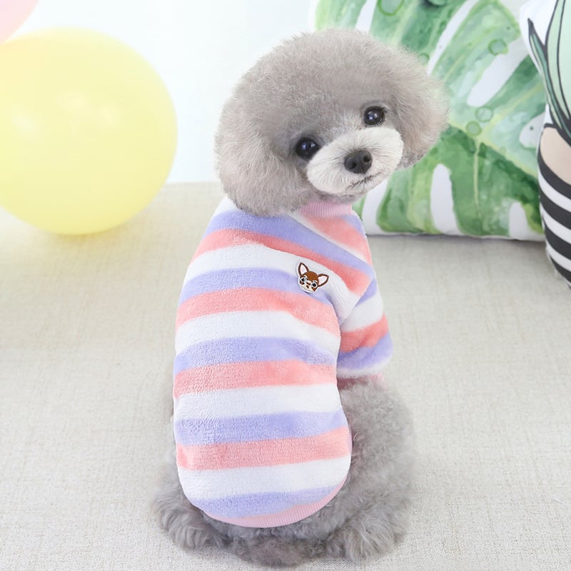 Winter Teddy Bichon Rainbow Fleece Cat Clothing