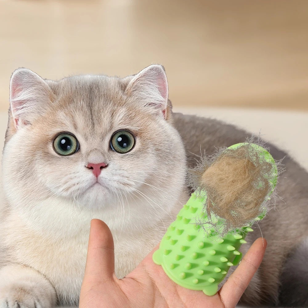Corner Wall Cat Grooming & Massage Brush