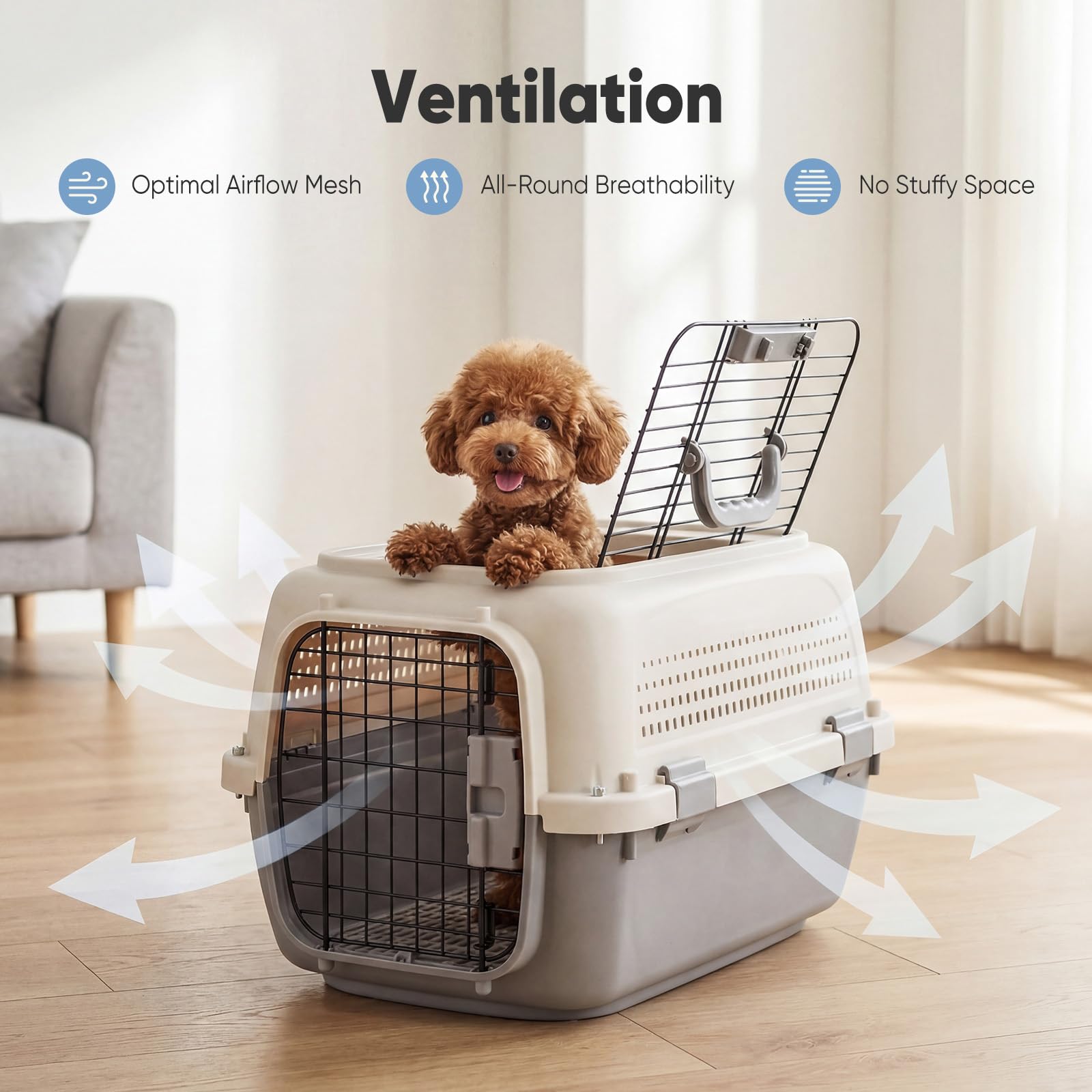 Airline-Approved Pet Travel Carrier