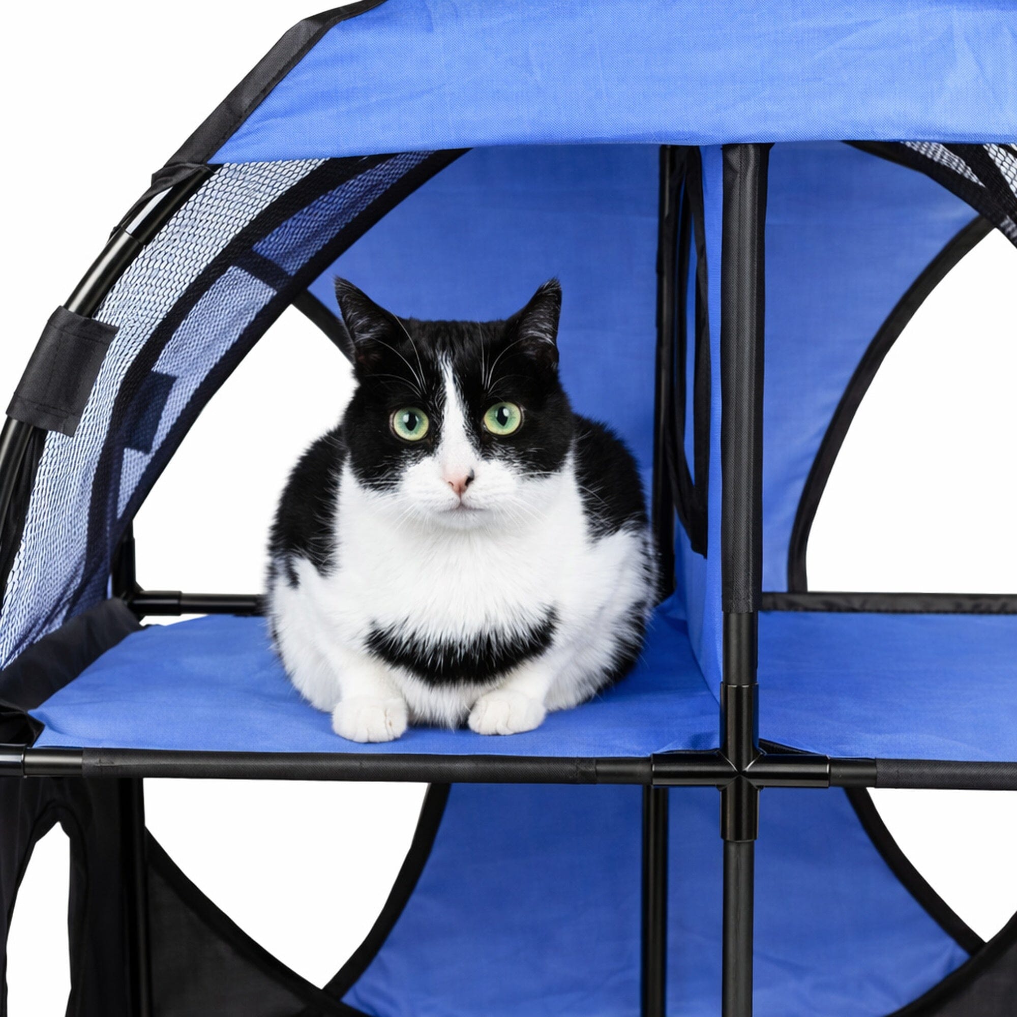 Kitty-Play Collapsible Cat Tree Maze Tunnel