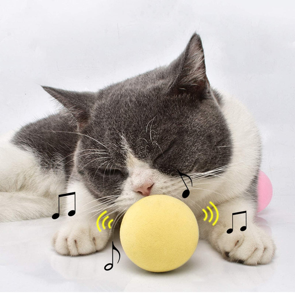 Catnip Training Ball Cat Toy
