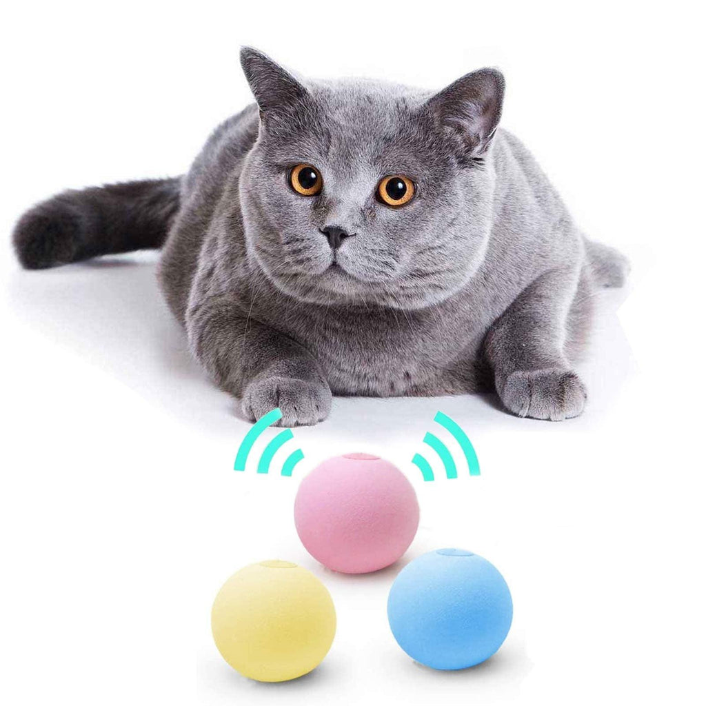 Catnip Training Ball Cat Toy
