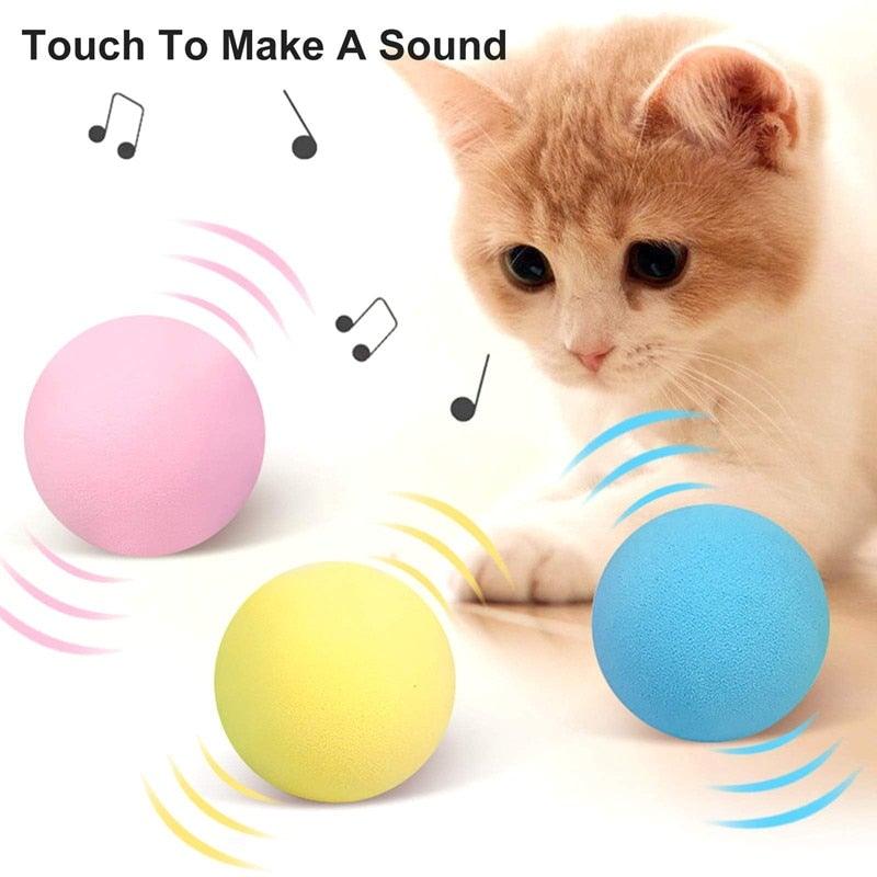 Catnip Training Ball Cat Toy