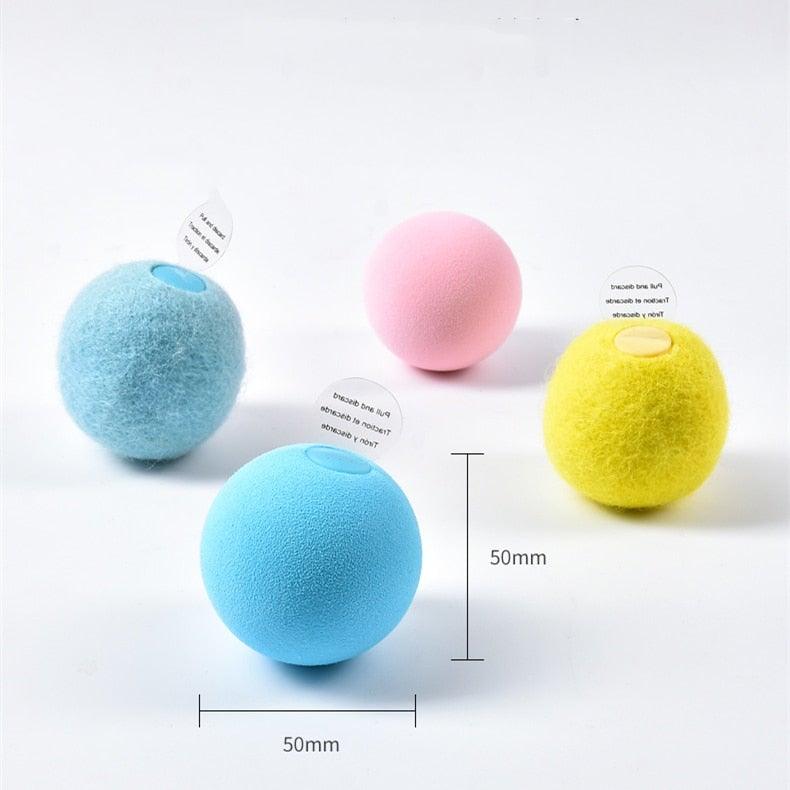 Catnip Training Ball Cat Toy