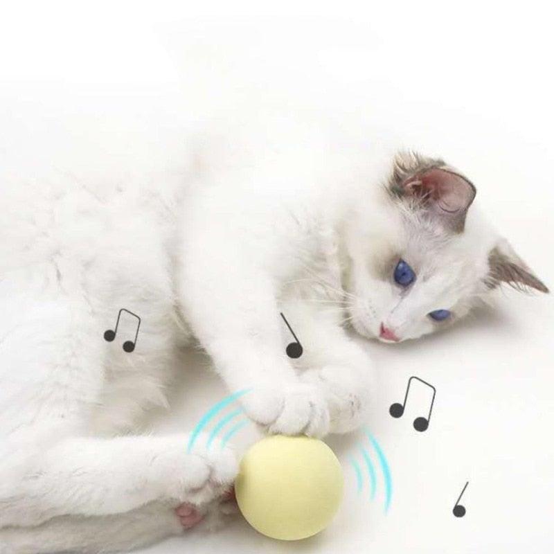 Catnip Training Ball Cat Toy