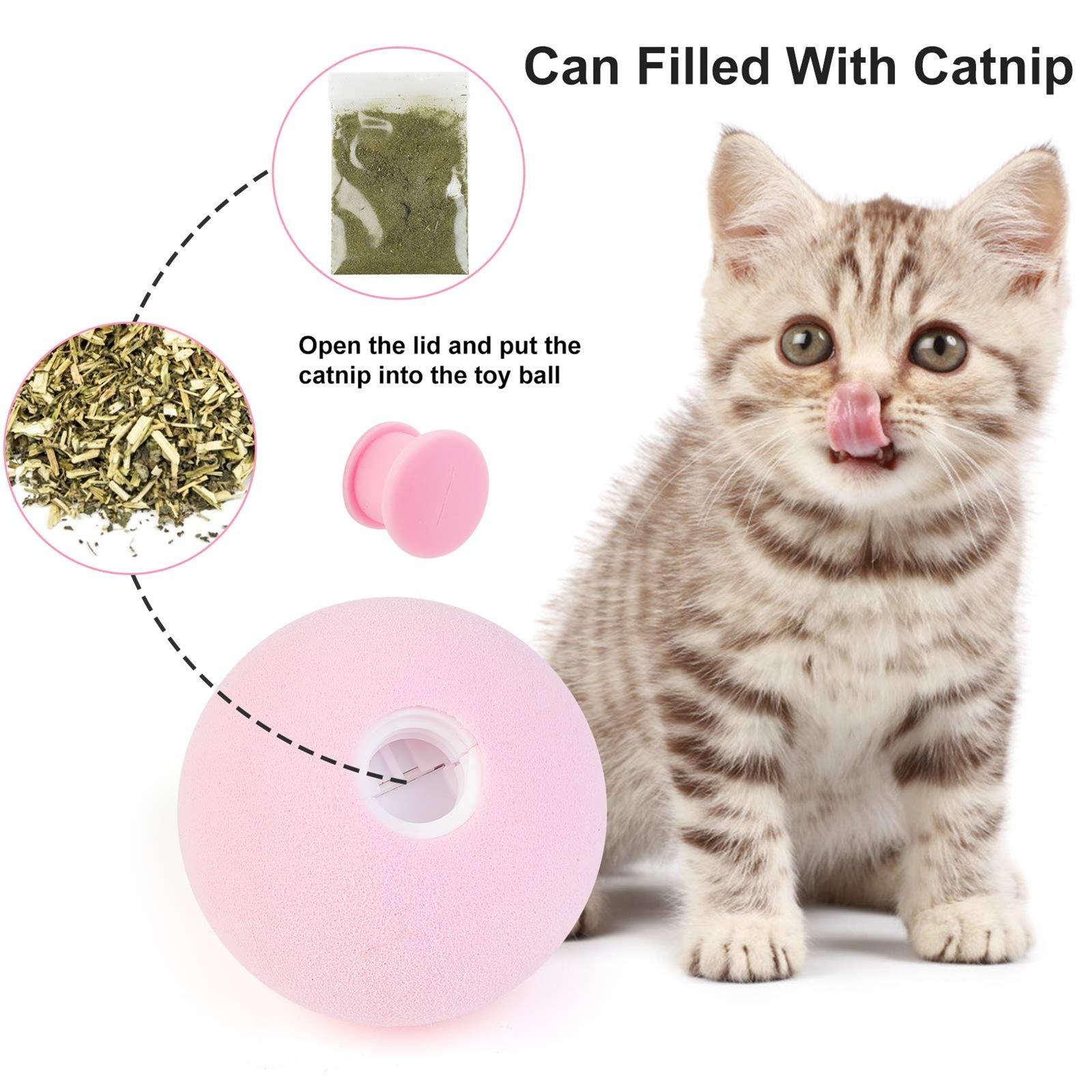Catnip Training Ball Cat Toy