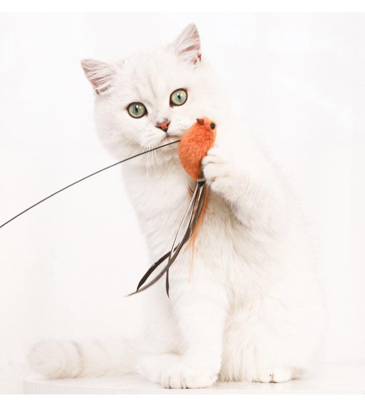 Feather Bird Bell Wand & Kicker Cat Toy