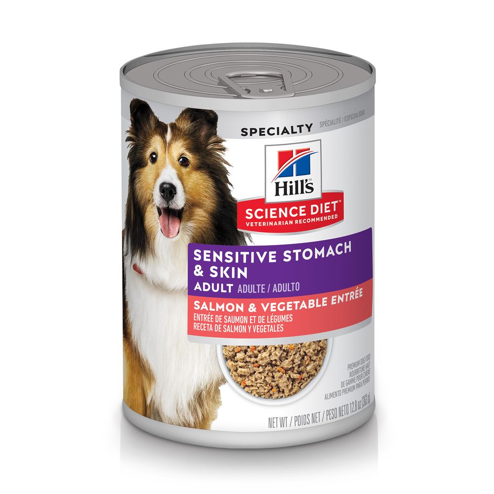 Hill's Science Diet Salmon & Vegetable Dog Food 12.8oz