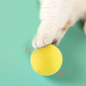 Catnip Training Ball Cat Toy