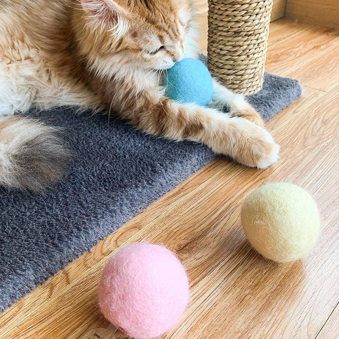 Catnip Training Ball Cat Toy
