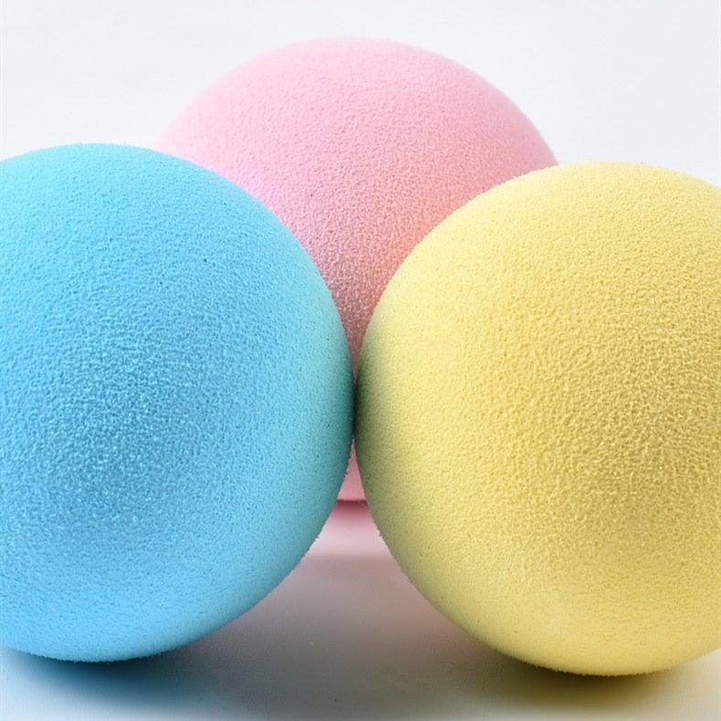 Catnip Training Ball Cat Toy